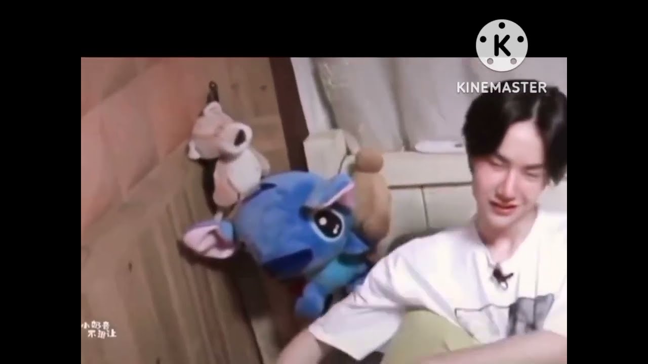 yizhan/wangxian/xiao zhan/Wang yibo/zhan/yibo/love at first sight # ❣️💚💛❤️🐰🦁🐯🐇