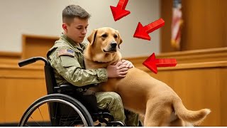 The ex-soldier wanted a final goodbye with his dog in court, but what happened shocked everyone!