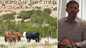 Gordon McCord is creating a tool that lets governments understand land use planning in Mexico