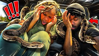 DUMPING LIVE SNAKES ON GIRLFRIEND!