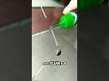 Watch this crack completely disappear.