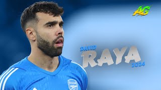 David Raya 2024 ● Crazy & Best Saves | FHD