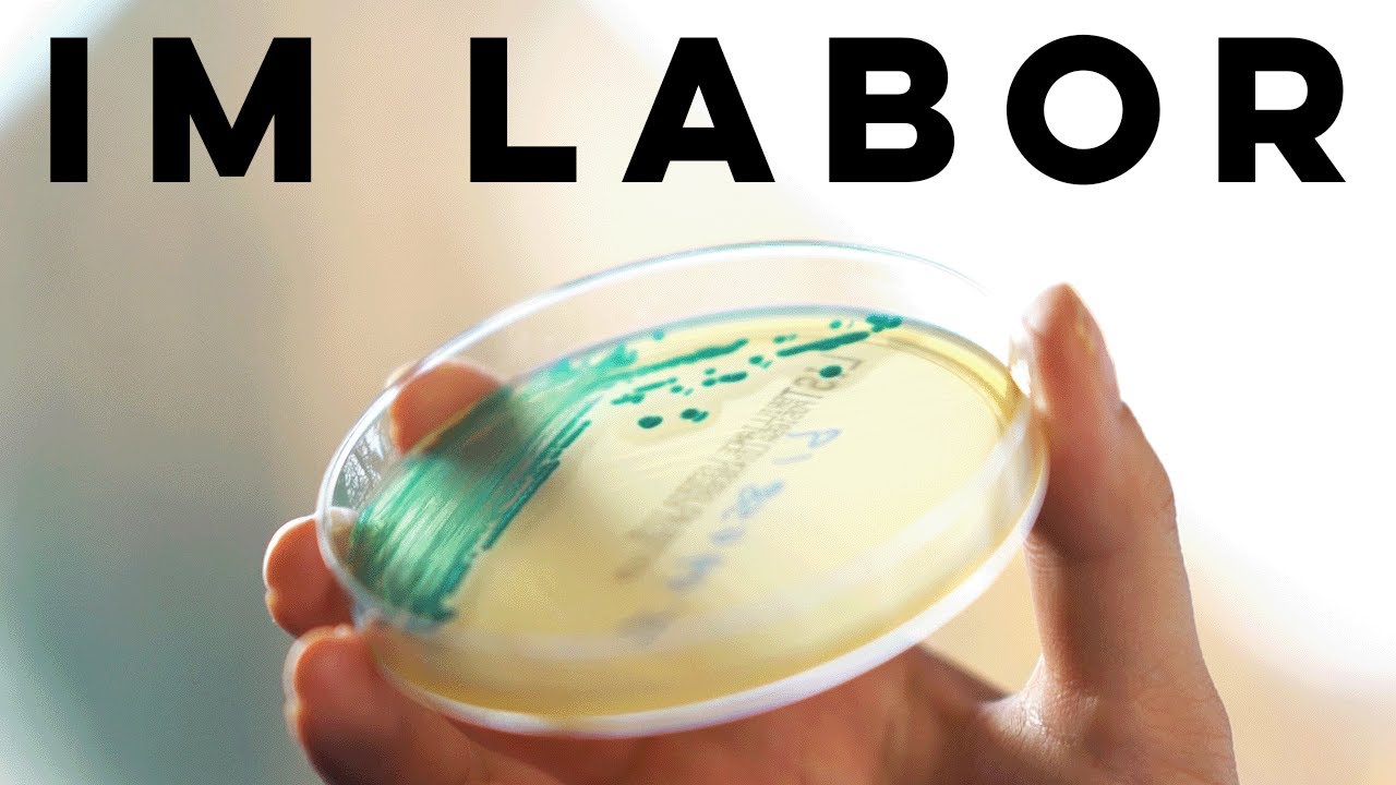 Einblick in die Labortätigkeit des Landesamt für Verbraucherschutz Sachsen-Anhalt