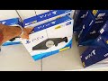 HO COMPRATO UNA PS4... Nel 2020