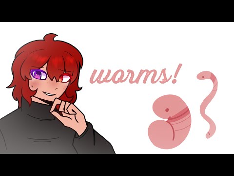 WORMS! | Animation meme