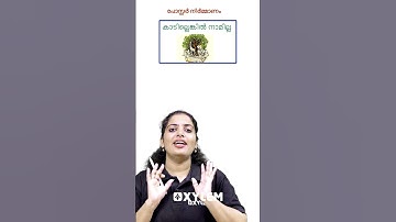 പോസ്റ്റർ നിർമ്മാണം !!  | Xylem Class 3