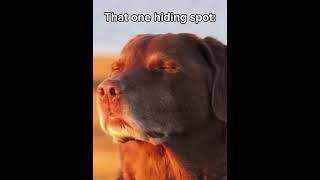 HOW DID CLOVE DIDN’T SEE THAT COMING? 🔥🗿 | INSANE HIGHLIGHT IN ABYSS