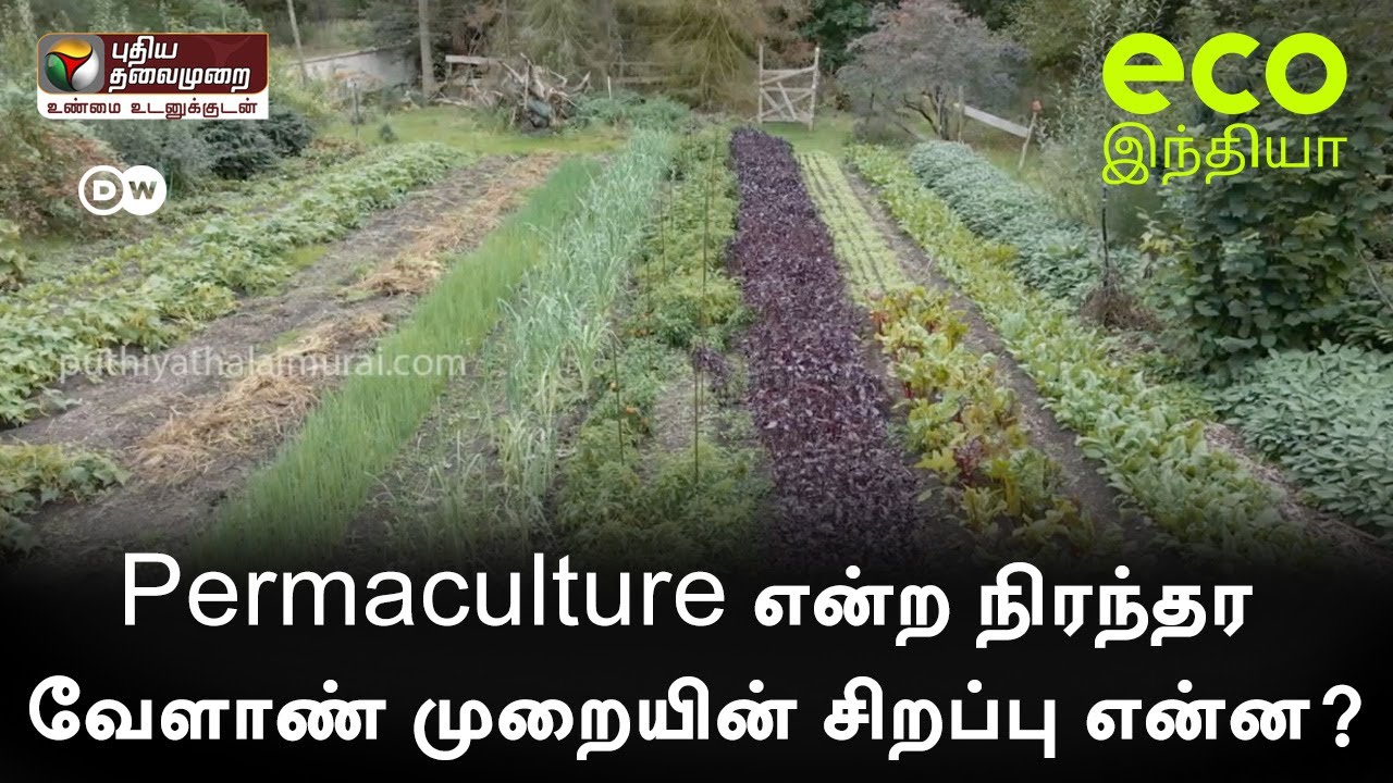 Permaculture என்ற நிரந்தர வேளாண் முறையின் சிறப்பு என்ன?:  Eco India | 26/03/2022