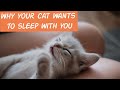 Why Your Cat Wants To Sleep With You | 5 Reasons You’ll Love to Know