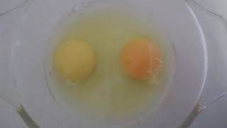 Yellow vs Orange egg yolk