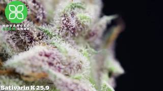 Advanced Grow Labs