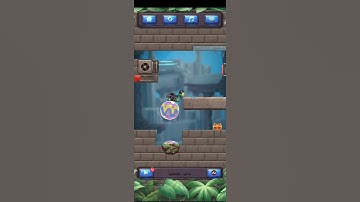 Turtle Puzzle Level 84