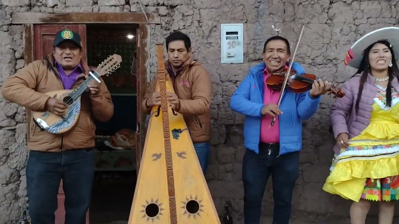 Flor andino de Paccho ( chati )