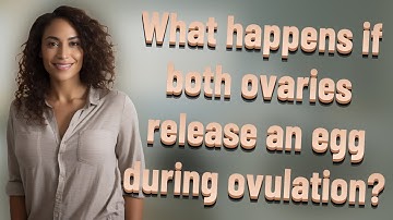 What happens if both ovaries release an egg during ovulation?