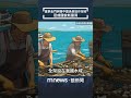 兩岸漁業合作