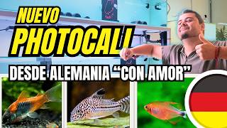 🇩🇪📸 Photocall | Desde Alemania con amor | Nueva Llegada de Peces a #firemouthaquaristic
