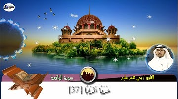 القارئ / يحي محمد سليم ( سورة الواقعة )