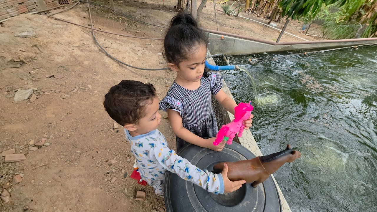 Sistema de câmeras no sítio