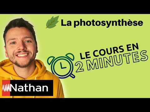 Vidéo: Quel type d'organisme utilise l'énergie du soleil et la convertit en énergie chimique ?