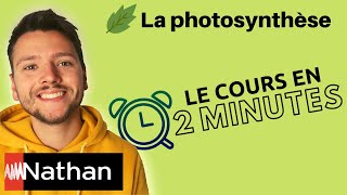 La photosynthèse : une conversion de l'énergie solaire - Enseignement Scientifique - Première