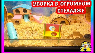 Уборка и   новая мебель для хомяков / Милку обижают / Алиса Изи Петс / Alisa Easy Pets