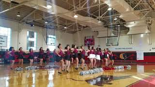 BFMS Falconettes competition pom