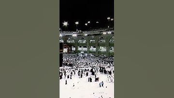 القارئ احمد محمد سلامة #