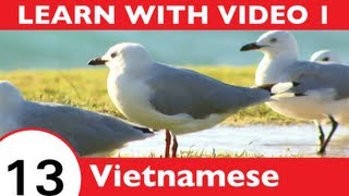 ⁣Learn Vietnamese with Video - Birds of a Feather Flock Together at VietnamesePod101.com!