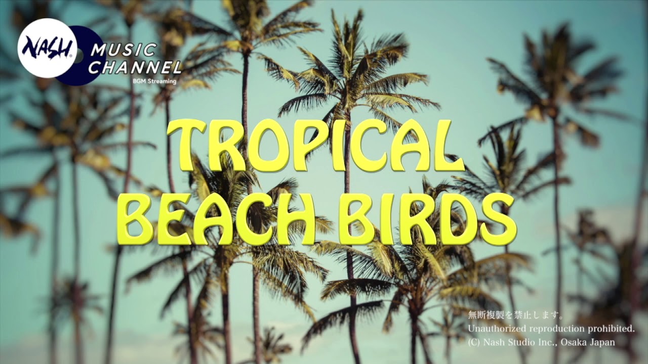 南国リゾートの鳥・ゆったり波の音ミュージック〜Tropical Beach Birds