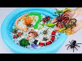 [Toy asmr] Satisfying With Unboxing RC Animals &amp; Insect and Reptile Toy Collection | No Talking