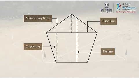 Summary for Survey Stations and Survey Lines