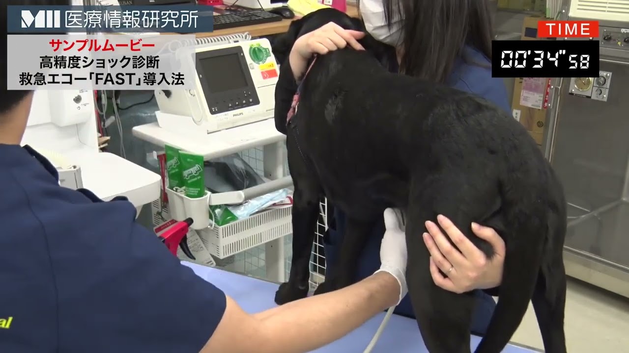 高精度ショック診断救急エコー「FAST」導入法 | 株式会社 医療情報研究所