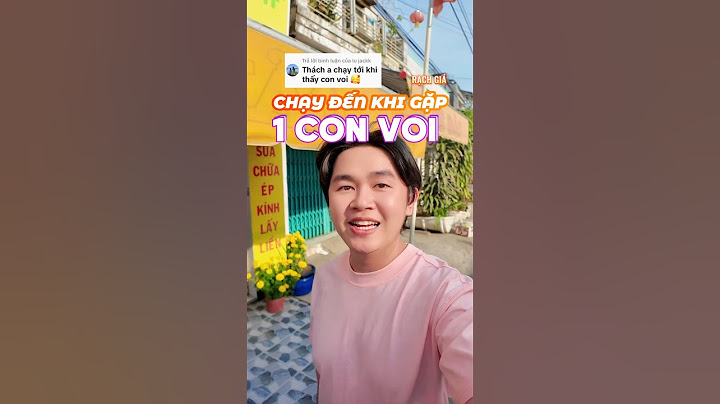 Thử Thách: Chạy Đến Khi Gặp 1 Con Voi | Cáo Nhỏ #shorts #caonho #haihuoc #trending