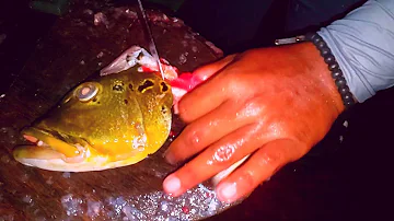 Quais os utensilios usados na pesca pelos ribeirinhos?