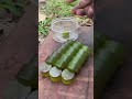 Survival skills: dad shows how to make 100% good Soap and Water