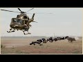 Special Video: How Do American Hunters And Farmers Deal With 30 Million Of Wild Boar By Guns