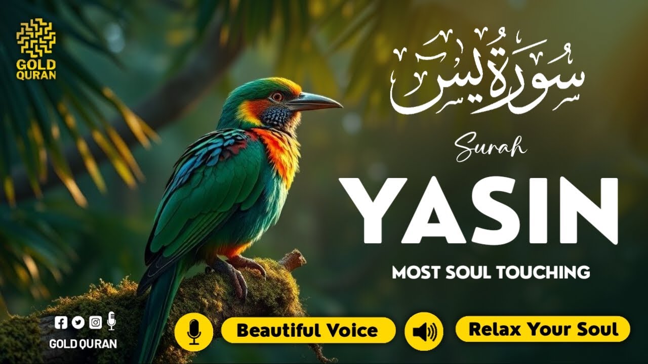 Relaxing Surah Yasin for Sleep, Depression, & Anxiety ✦ Yaseen سورة يس ✦ Soothing Quran ✦ Hejazi