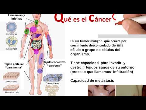 Vídeo: Análisis De Secuencias Microbianas En ADN Libre De Células Plasmáticas Para Pacientes Con Cáncer De Mama De Inicio Temprano Y Mujeres Sanas