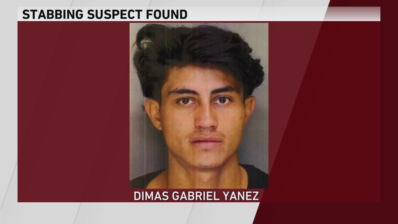 Person of interest arrested in connection with apparent random stabbing ...