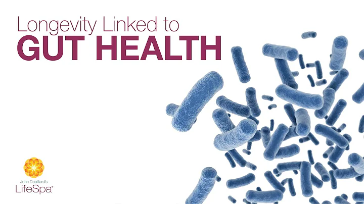 Longevity Linked to Gut Health | Dr. John Douillard's LifeSpa
