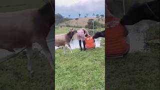 Humanity's Unlucky Moments