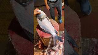 Amazing!! Attractive Big Size Katla Fish Cutting Skills In India 😱😲 #shorts