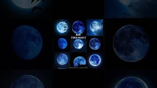 Celebrity Which month do you born?✨🎀#aesthetic #fypviralシ#birthday #trending #shortvideo Wealth