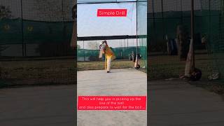 This Simple drill can make a huge difference in your batting..! #shortvideo #shorts #short #cricket