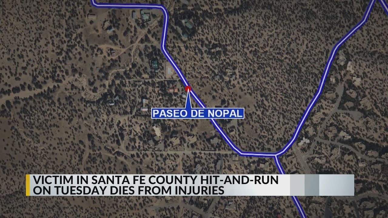 Mother dies after being hit by vehicle while walking with 2 kids in ...