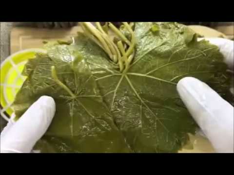 Video: What Are The Benefits Of Grape Leaves?