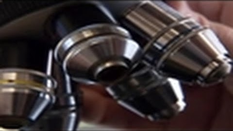 Solved- Trace Evidence