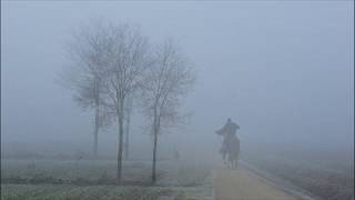 Fiume Tergola A Peraga Di Vigonza
