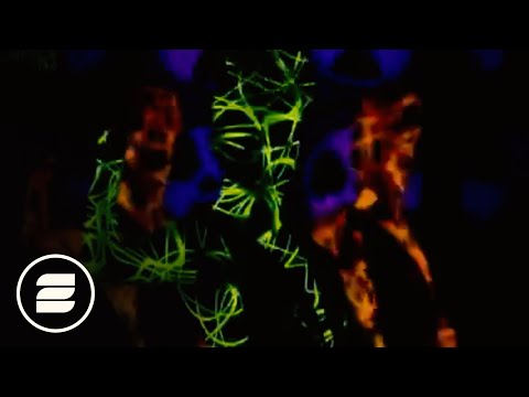 hands across america Darren Styles & Manian - Outta my head (Manian Video Mix)