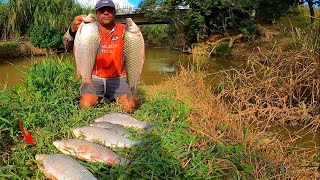 HOJE SÓ SAIU CURIMBA GIGANTE E UM PIAU  QUE FEZ A LINHA CANTAR.  Pescaria.